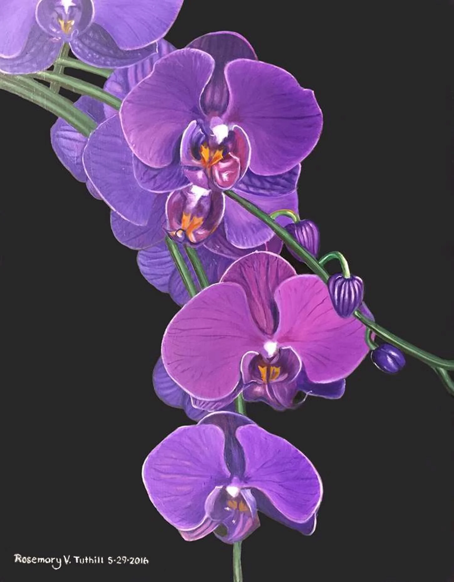 Violet Orchids — Vasquez Art and Paint Party Experience